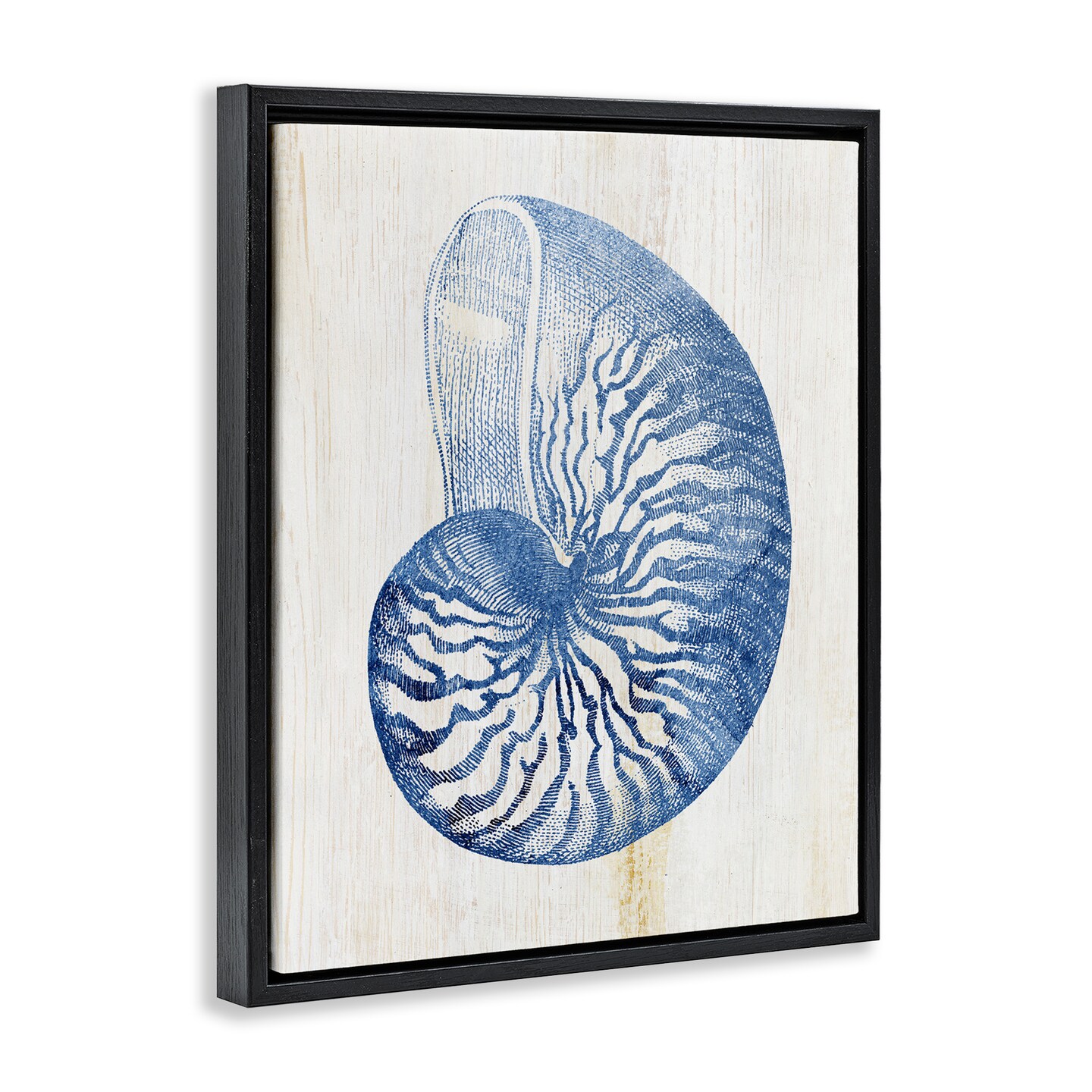 Stupell Industries Blue Nautilus Shell Floating Frame Design by Susan Arnot
