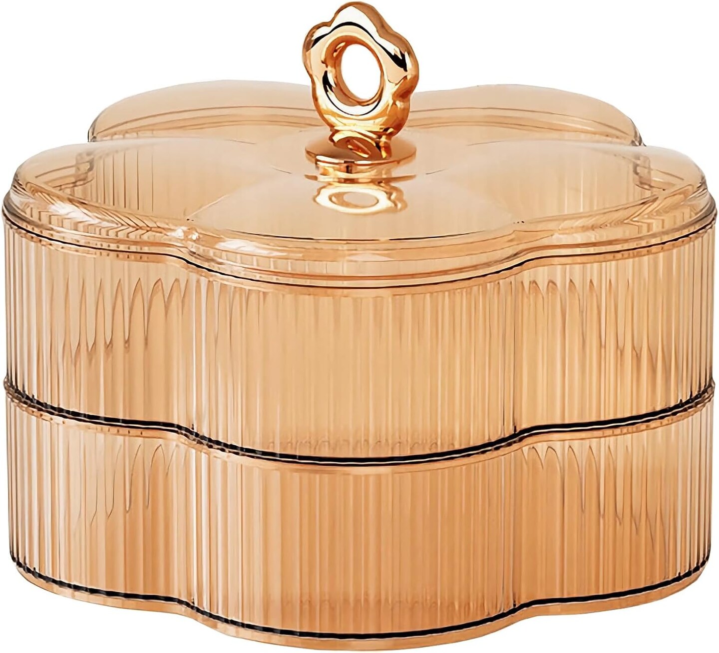 Acrylic Jewelry Organizer Box – 2-Layer Floral Storage Box with Handle for Earrings, Rings, Necklaces, Bracelets – Clear Amber Jewelry Container for Women & Girls