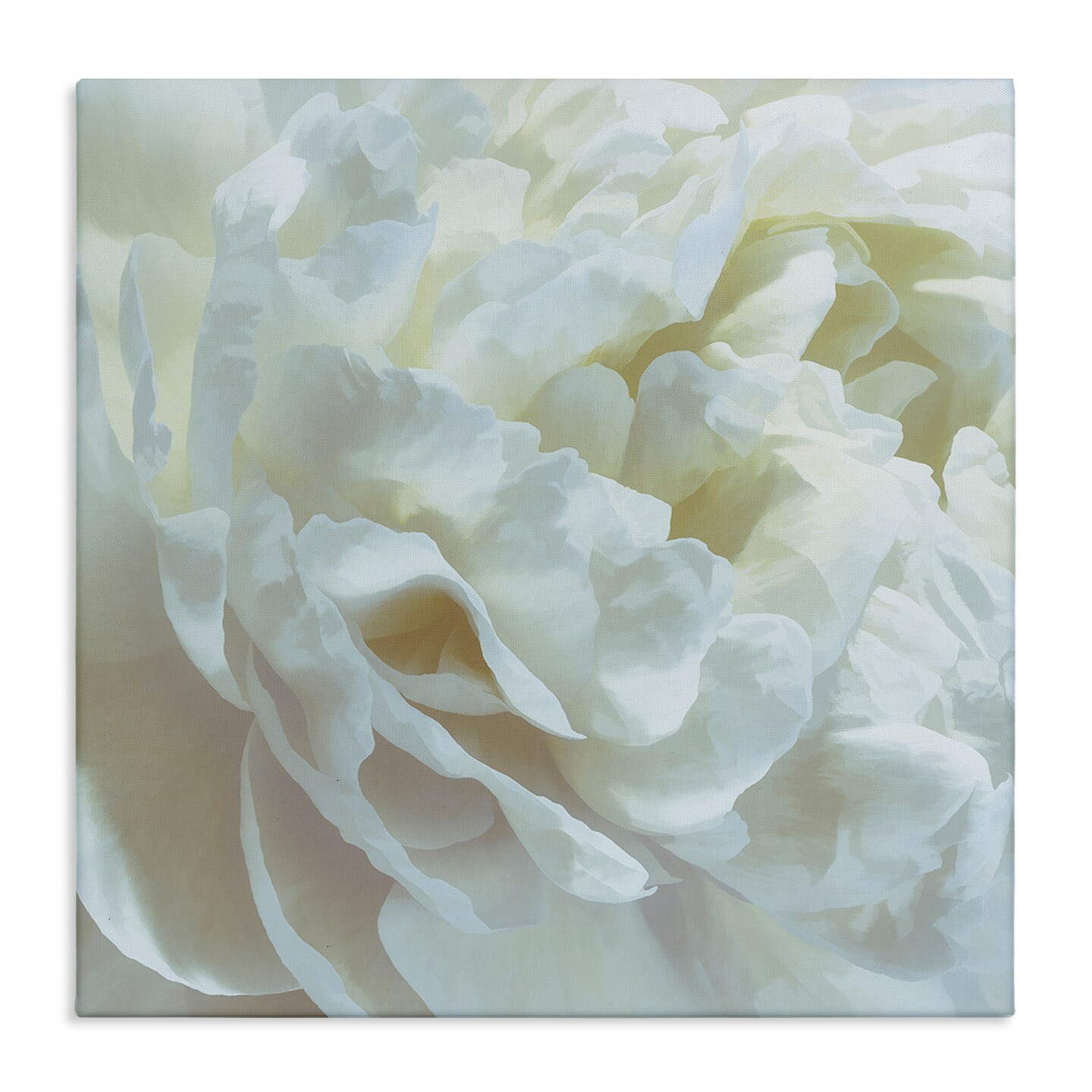 Stupell Industries Elegant White Petals Canvas Design by David Pollard