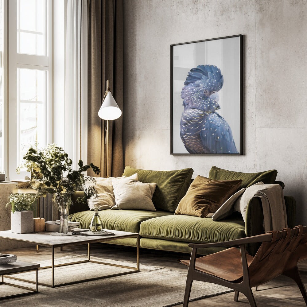 Black Cockatoo - Kathrin Pienaar 24x36 Black Framed Art | Home or Office Art
