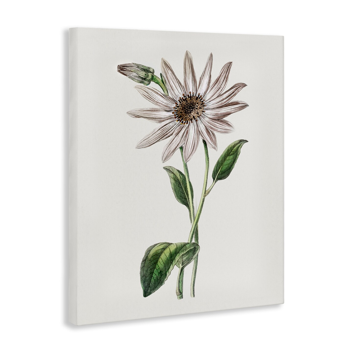 Stupell Industries Vintage Mum Sprig Canvas Design by CAD Designs