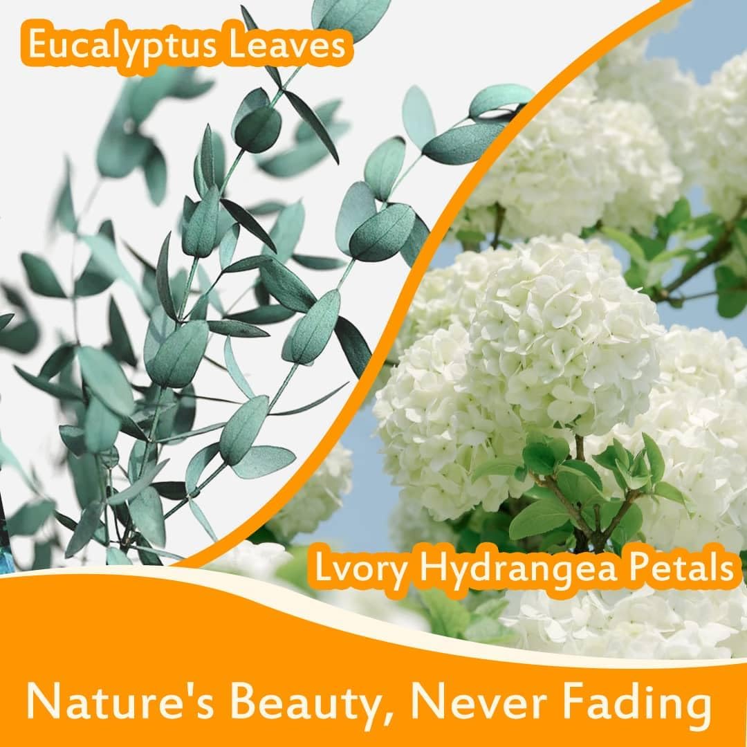Real Dried Ivory White Hydrangea Flower &#x26; Eucalyptus Petals - 3000+ Natural Fragrant Confetti for Wedding, Flower Girl Baskets, Aisle Decor, Scented Sachets, Spring Potpourri Bags, Air Freshener