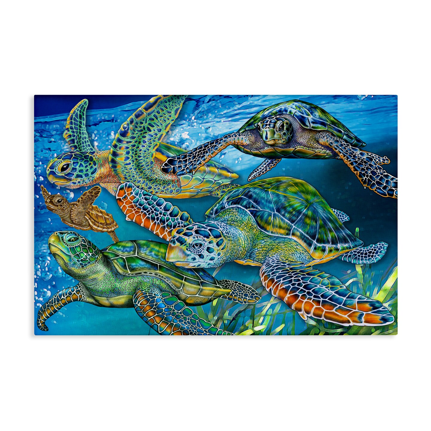 Stupell Industries Tortoise Family Underwater Swim Canvas Design by Tim Jeffs