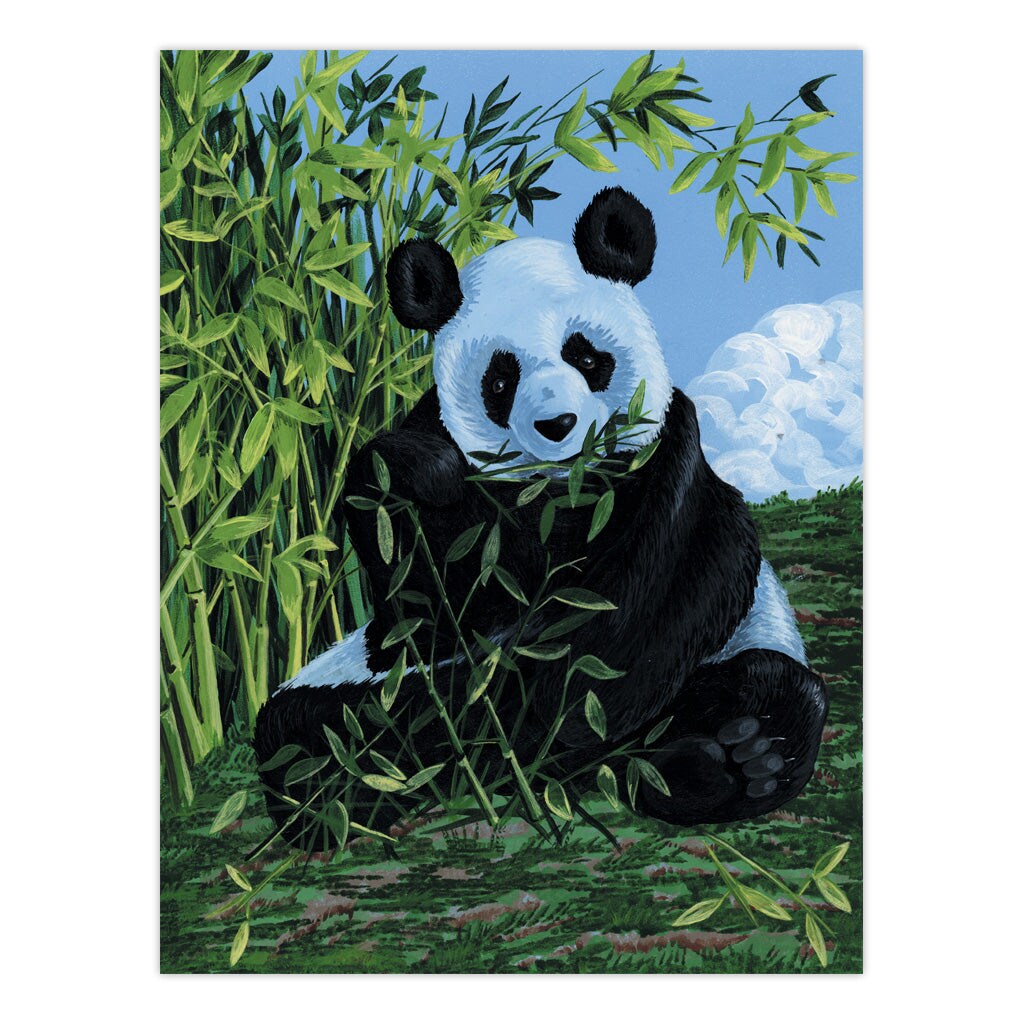 PCS6 | Painting by numbers&#x2122; 10pc 9&#x22; x 12&#x22; Panda Canvas Painting Project