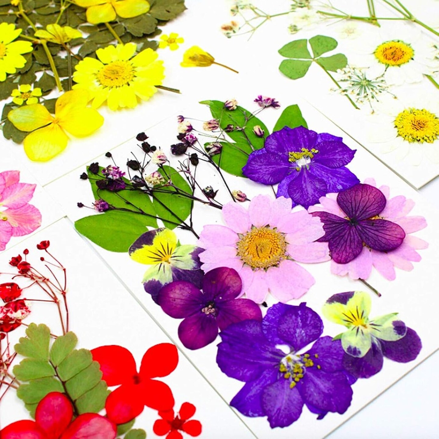 92 Pcs Purple Dried Pressed Flowers Real Natural Leave Petals for DIY Resin Candle Jewelry Nail Crafts