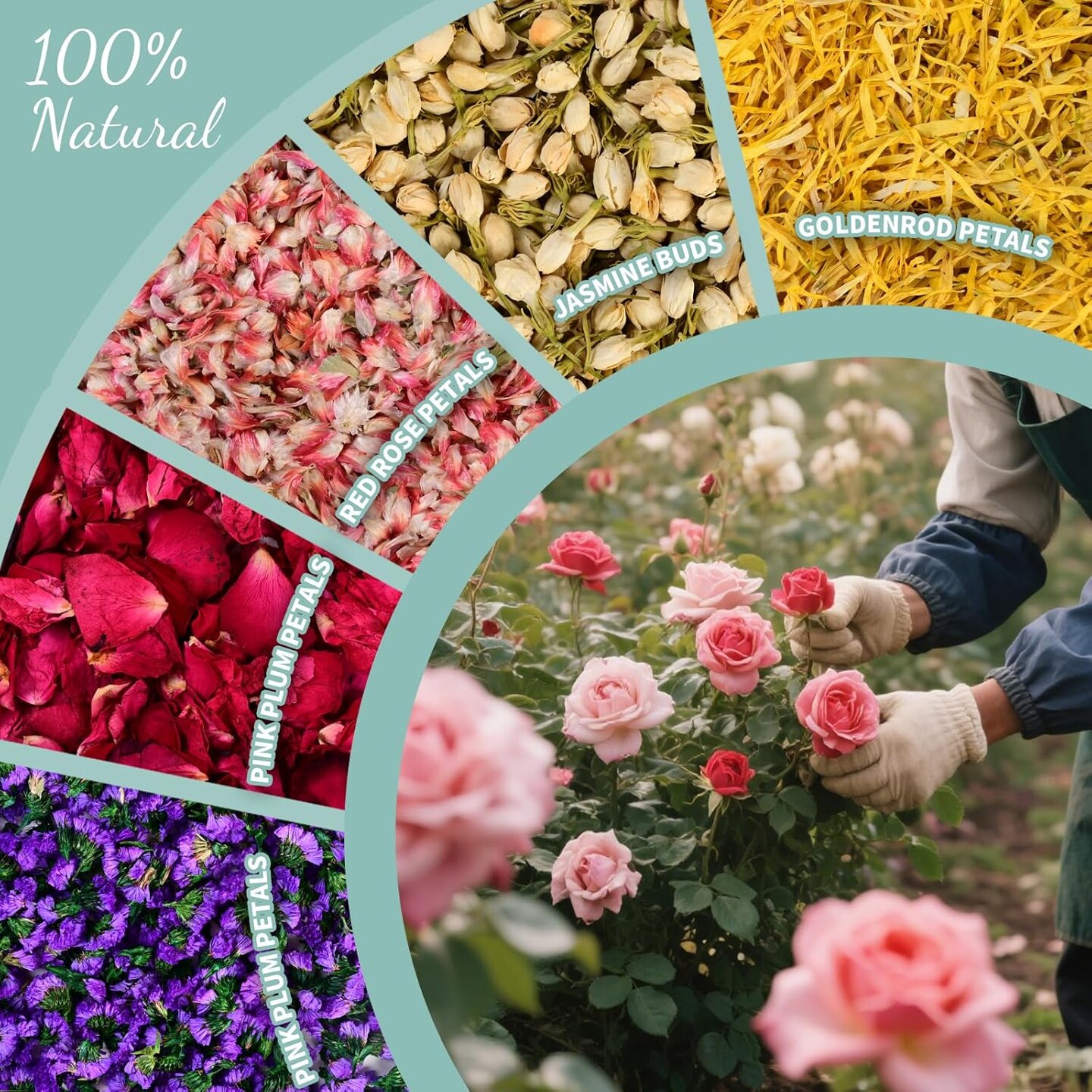40+ Cups Real Biodegradable Flower Petal Wedding Confetti, 5 QT 5 Kinds Colorful Mixed Petal Confetti with Dried Rose Petal &#x26; Jasmine Buds