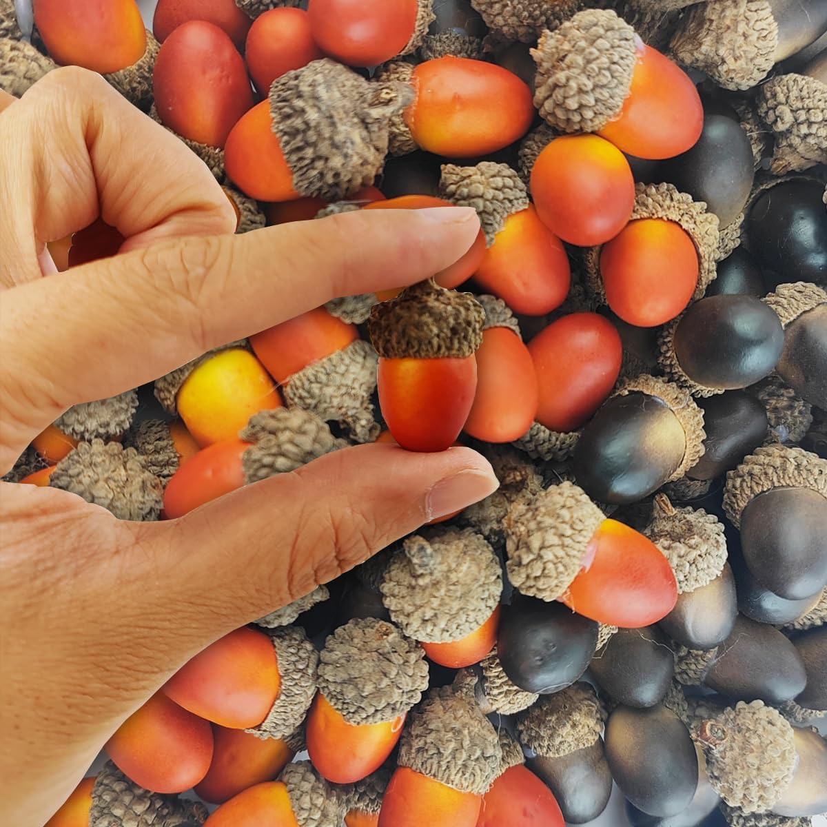 160PCS Artificial Acorns Home Vase Filler Decor