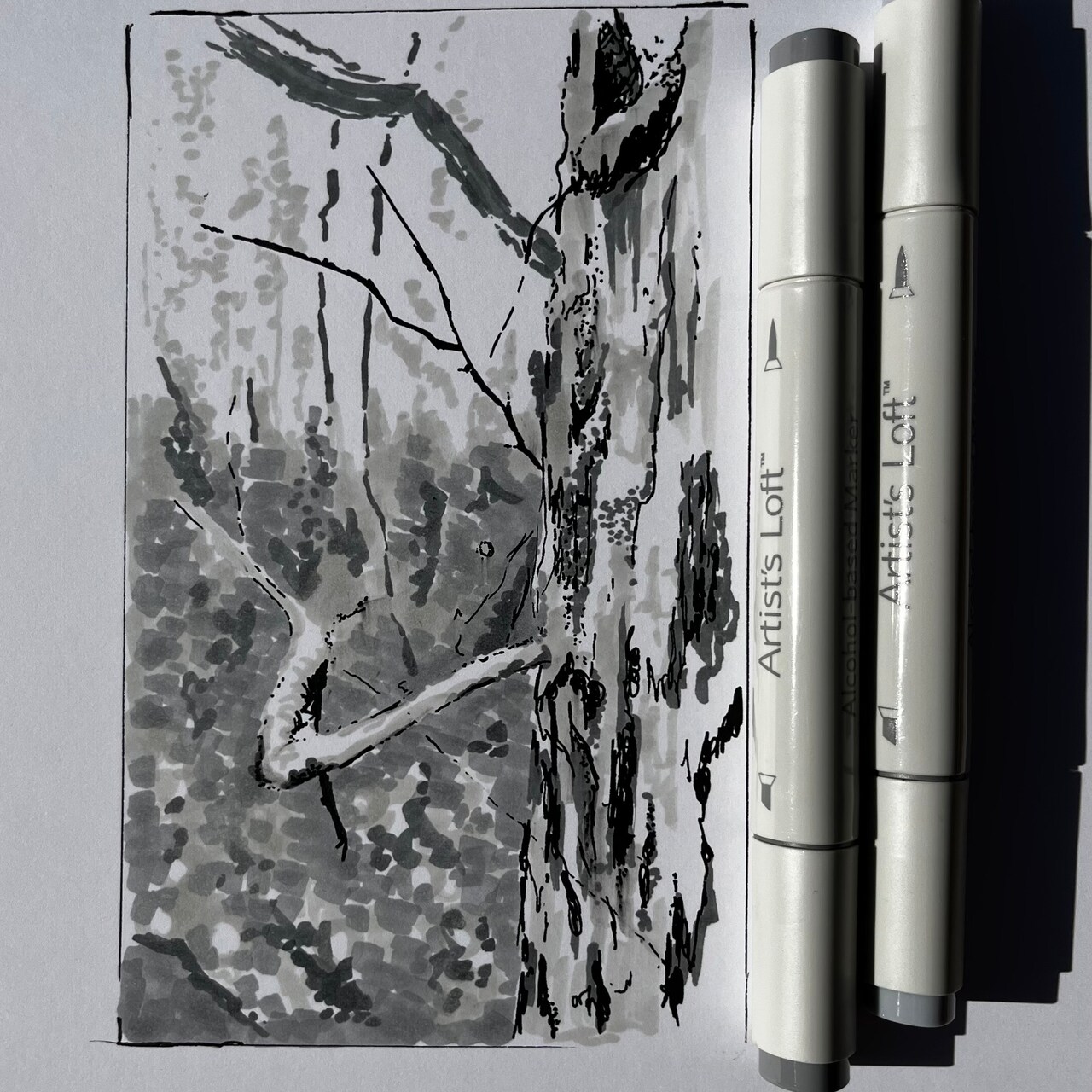 Tree Studies, part II