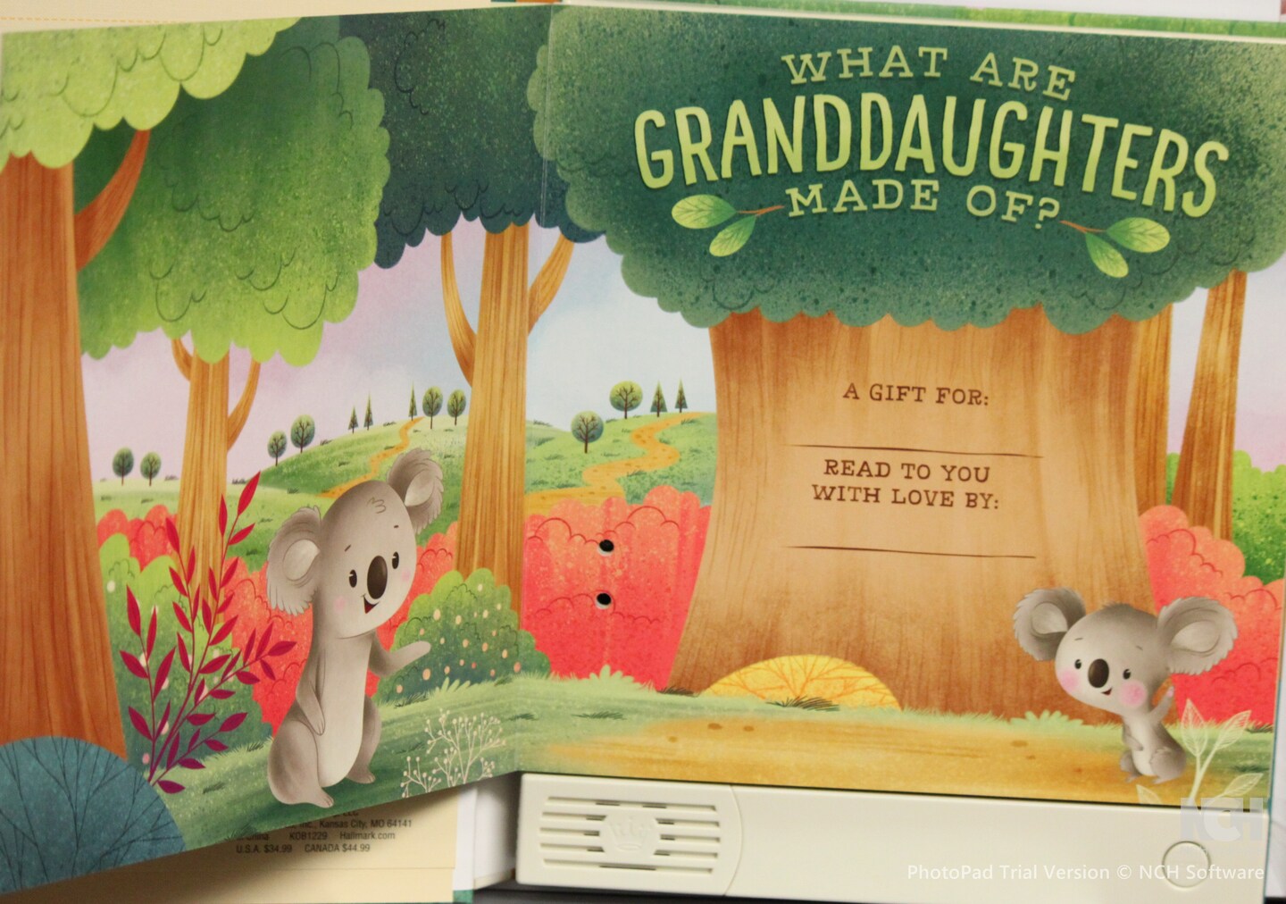 Hallmark What Are Granddaughters Made Of? Recordable Storybook