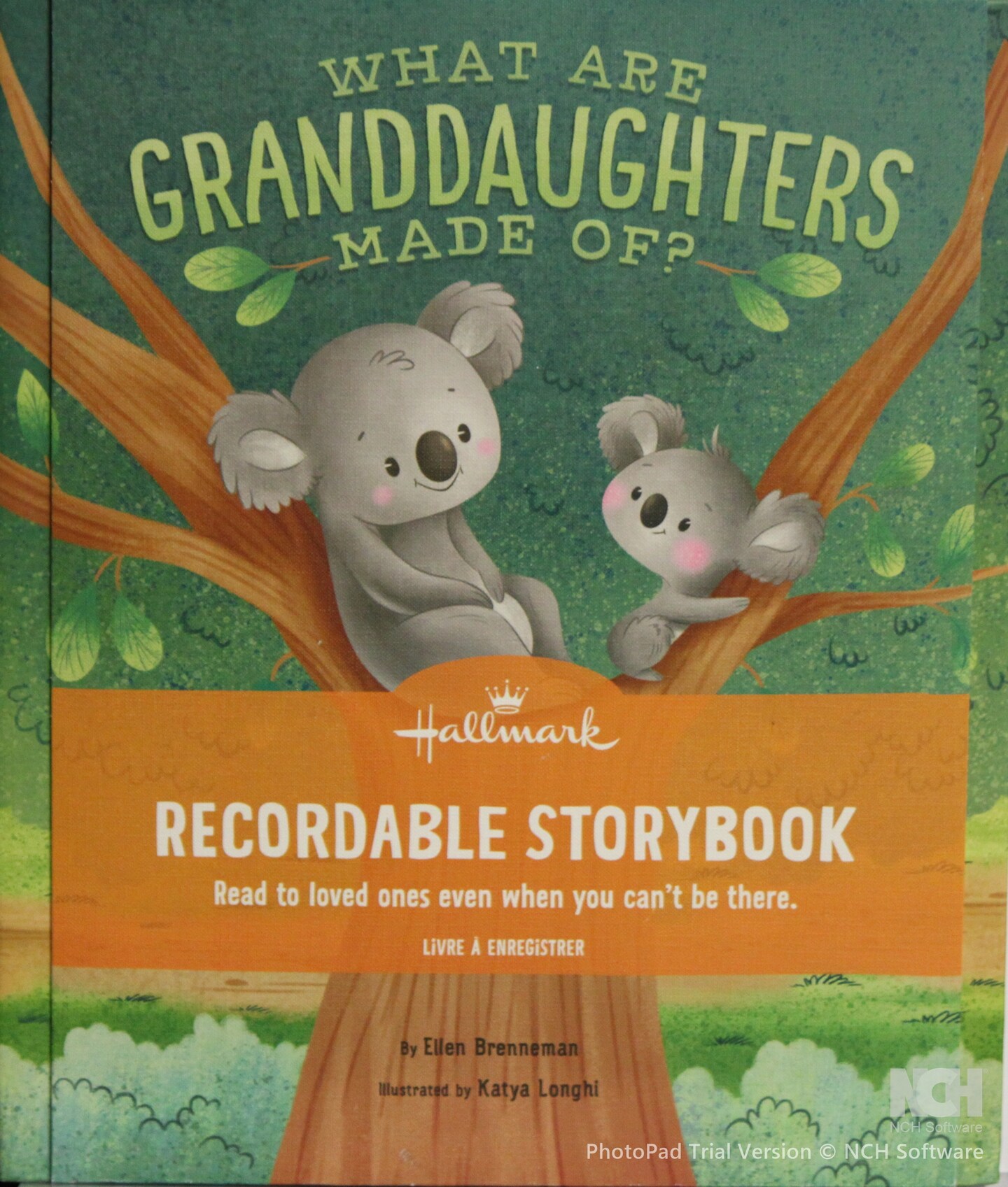 Hallmark What Are Granddaughters Made Of? Recordable Storybook