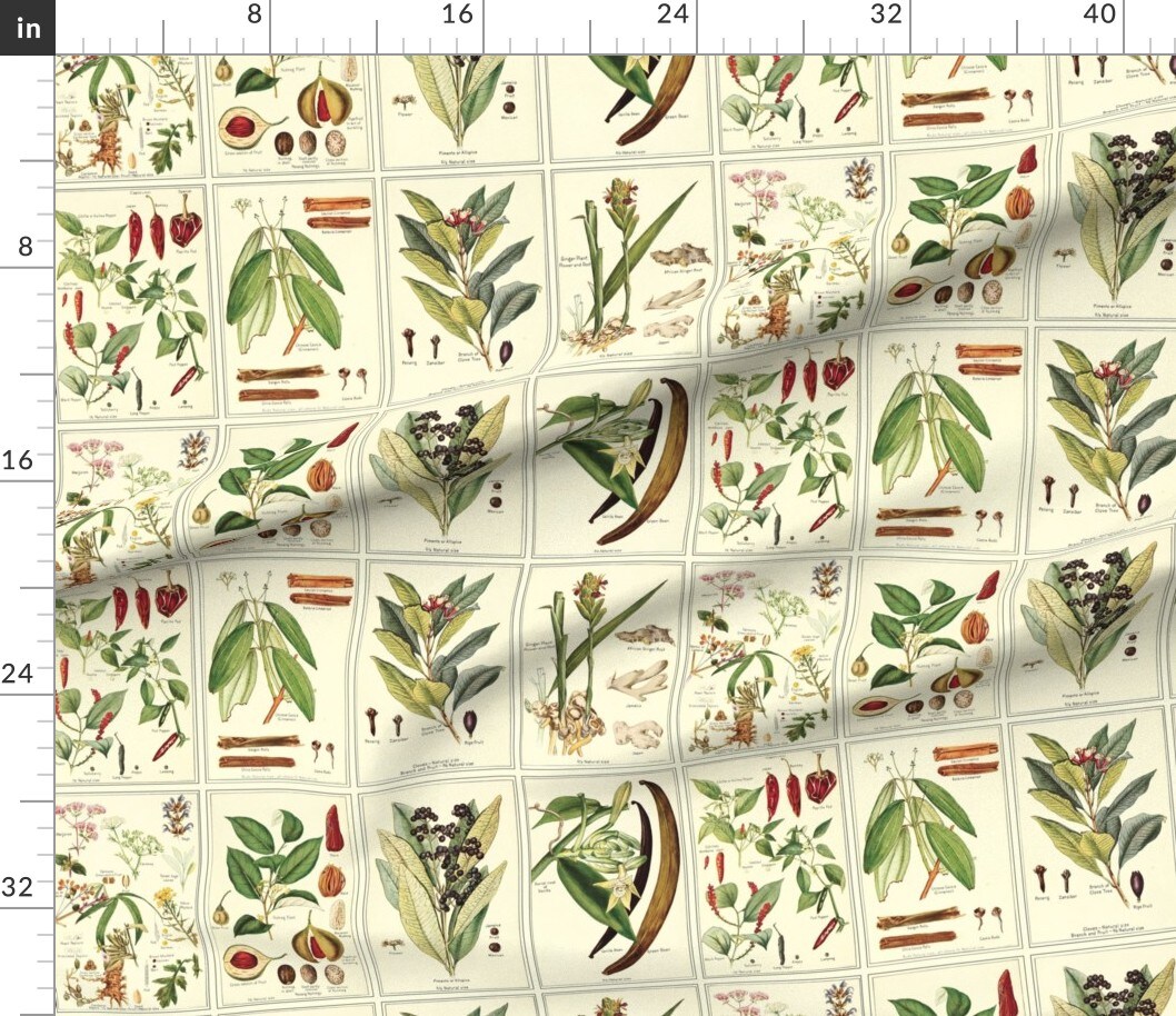 Herb, Botanical, Spices, Green, Brown, Ecru, Food, Illustration, Custom Printed Fabric by Spoonflower Various Fabrics by the Yard or Fat Quarter