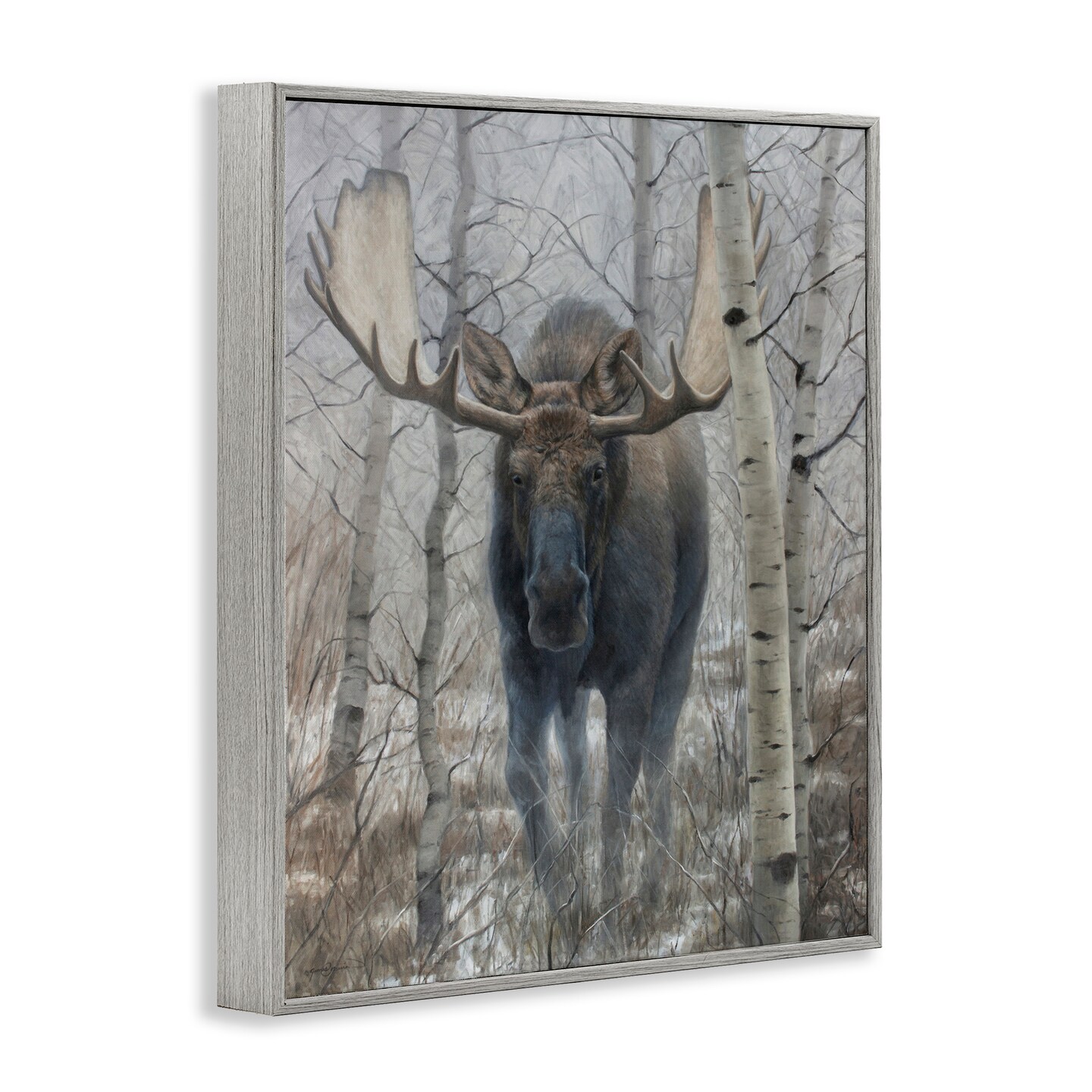 Stupell Industries Moose in Winter Birch Forest Framed Giclee, design by James Corwin