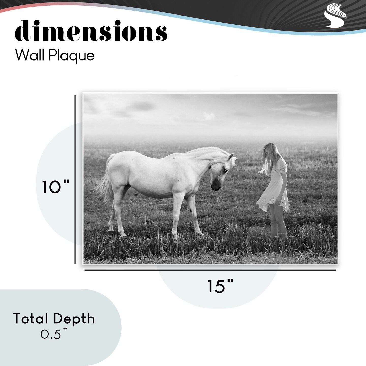 Stupell Industries Her White Horse Wall Plaque, design by Ata Alishahi
