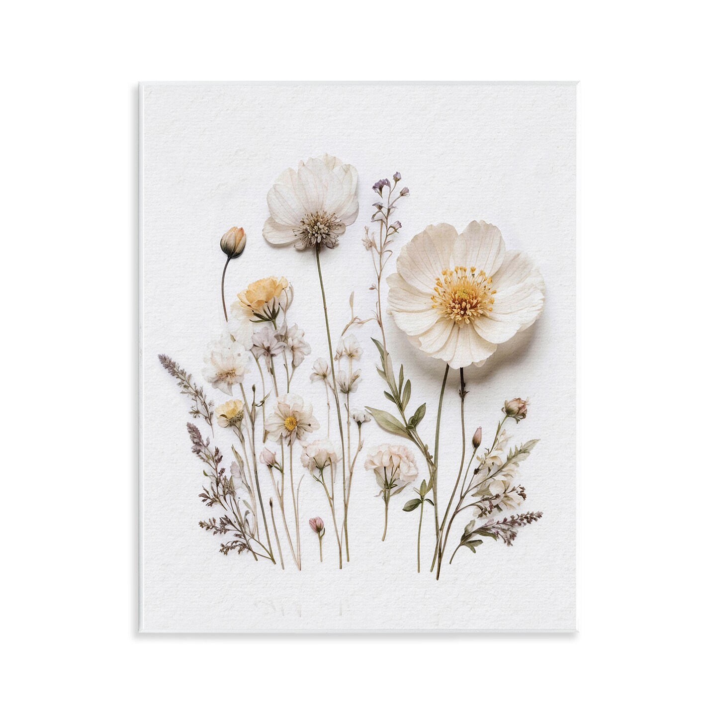 Stupell Industries Pressed Bathroom Botanicals Wall Plaque, design by Lettered and Lined