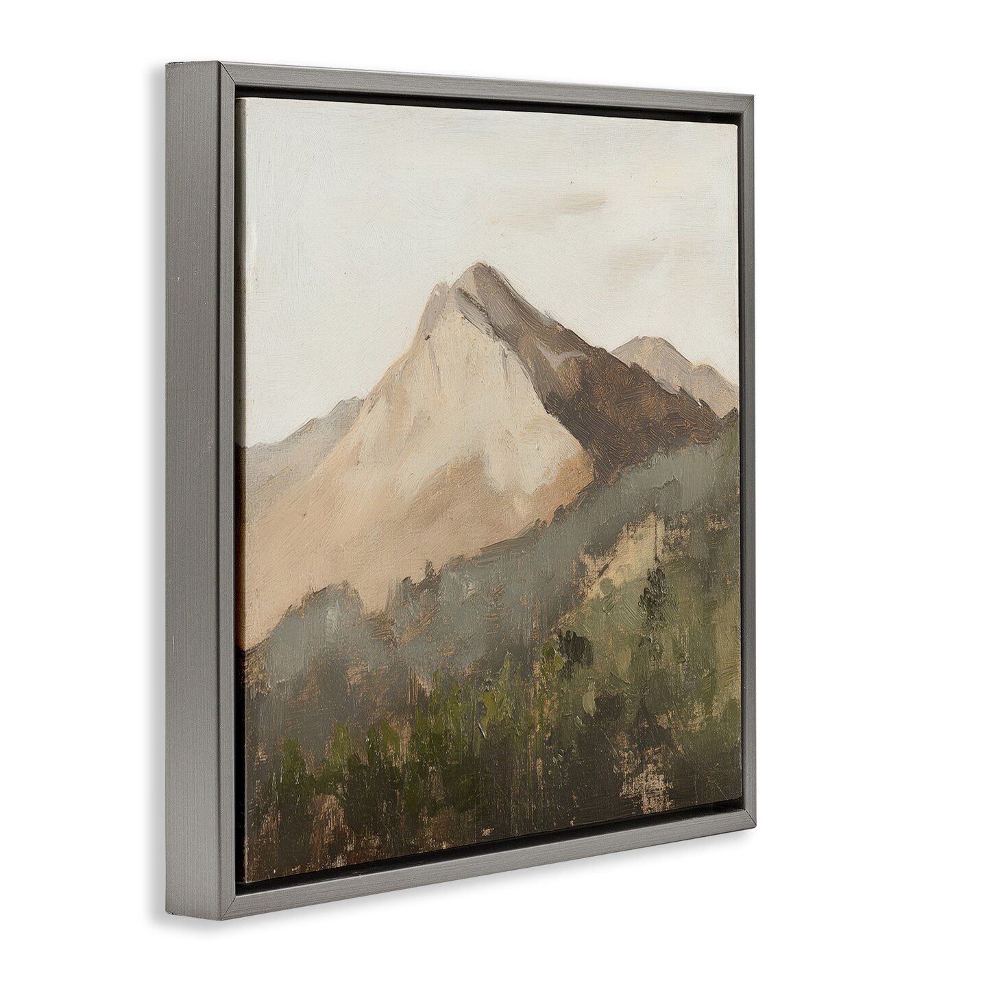 Stupell Industries Sierra Mountain Landscape Floating Frame, design by Petal Prints Design
