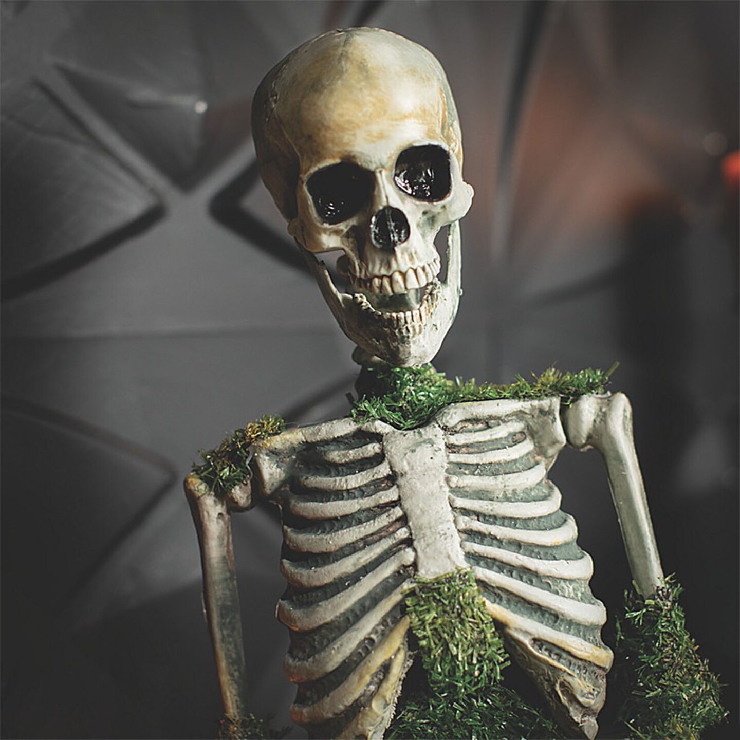 Mossy Skeleton Animated Tabletop Halloween Decoration 9 3/4 by 14 3/4 Inches