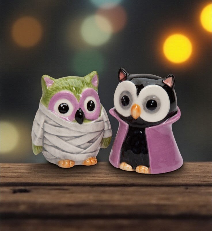 Ceramic Owl Dracula And Mummy Salt And Pepper Shakers, Home Décor, Gift for Her, Gift for Mom, Kitchen Décor, Fall Décor, Halloween Décor