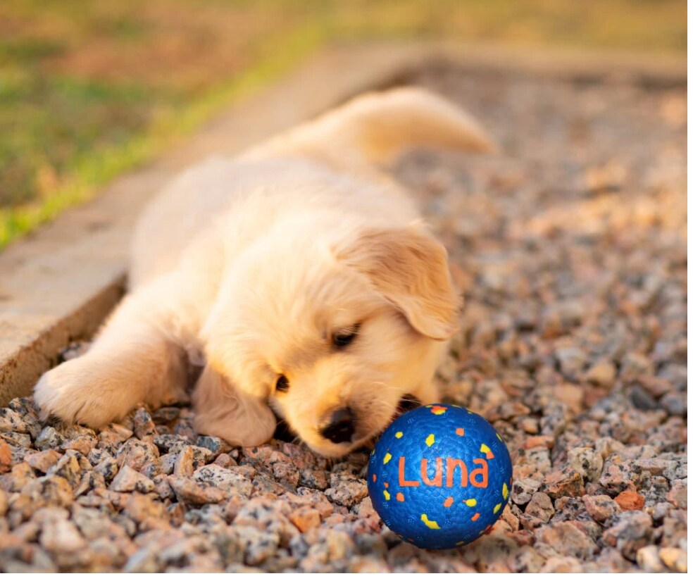 Luna ball for dogs best sale