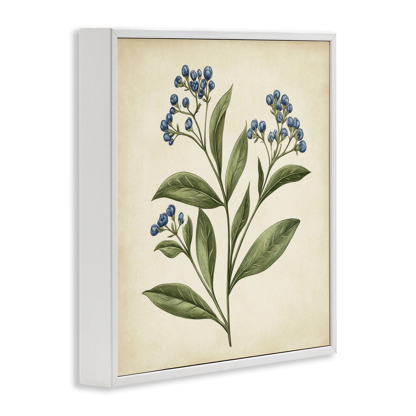Stupell Industries Blue Buds Botanical Illustration Framed Giclee, design by Petal Prints Design