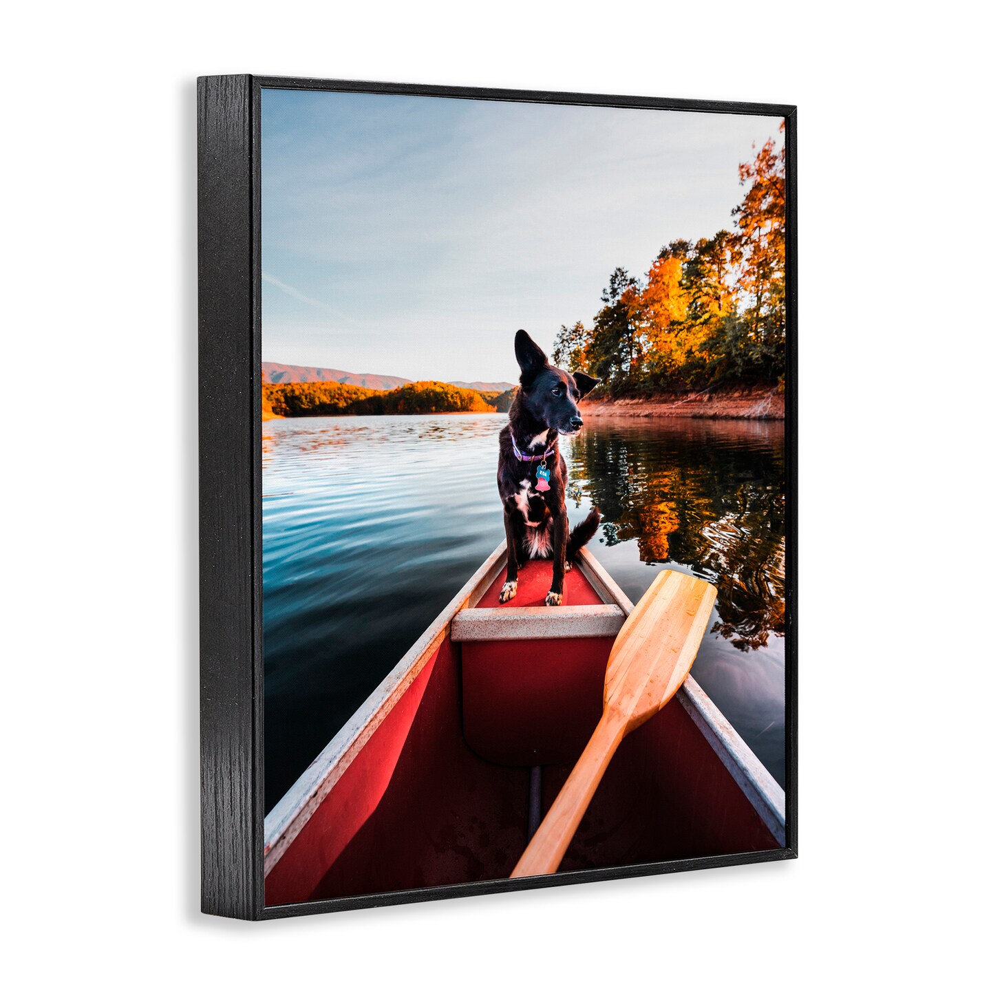 Stupell Industries Pup And Paddles Framed Giclee, design by Jared Kreiss