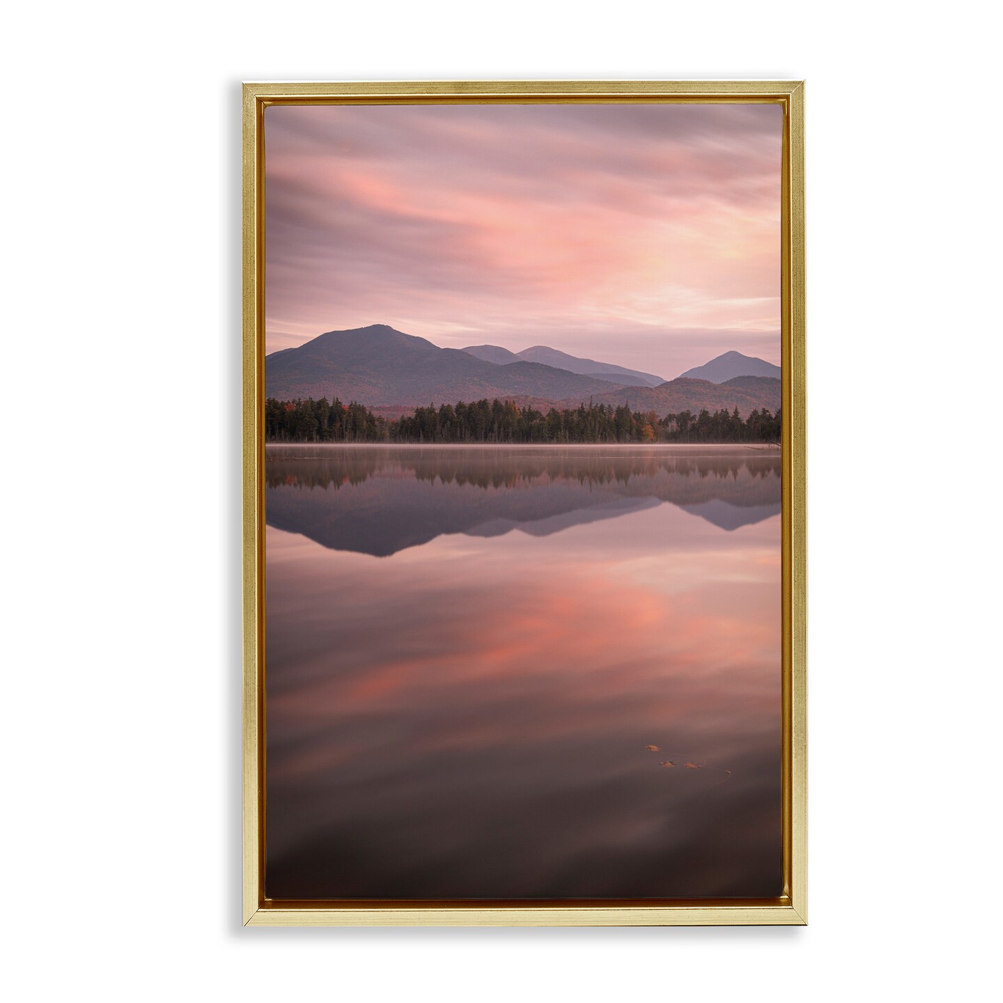 Stupell Industries Dawn Reflection In Glory Floating Frame, design by James Rodewald