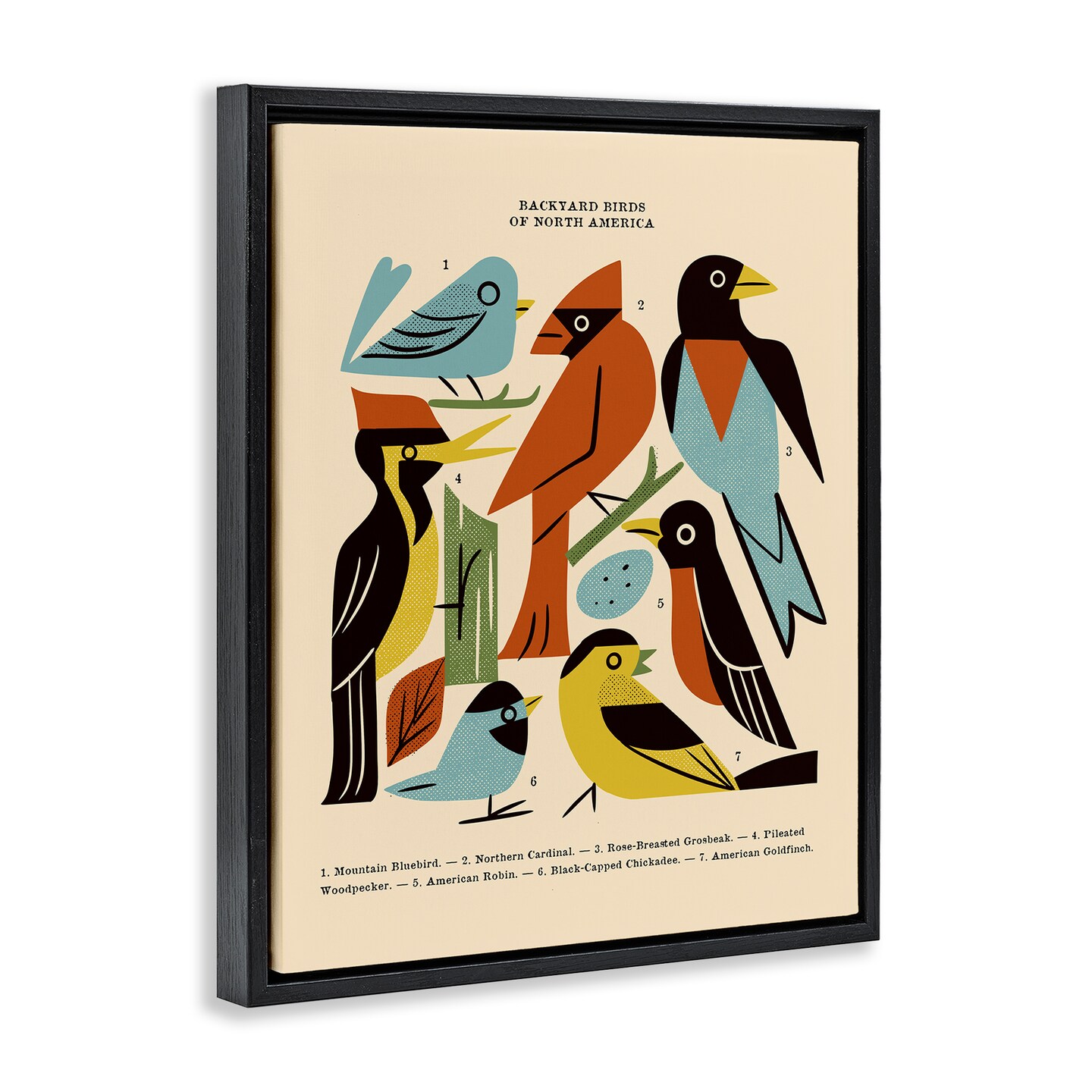 Stupell Industries Backyard Birds Midcentury Modern Floating Frame, design by Renea L. Thull