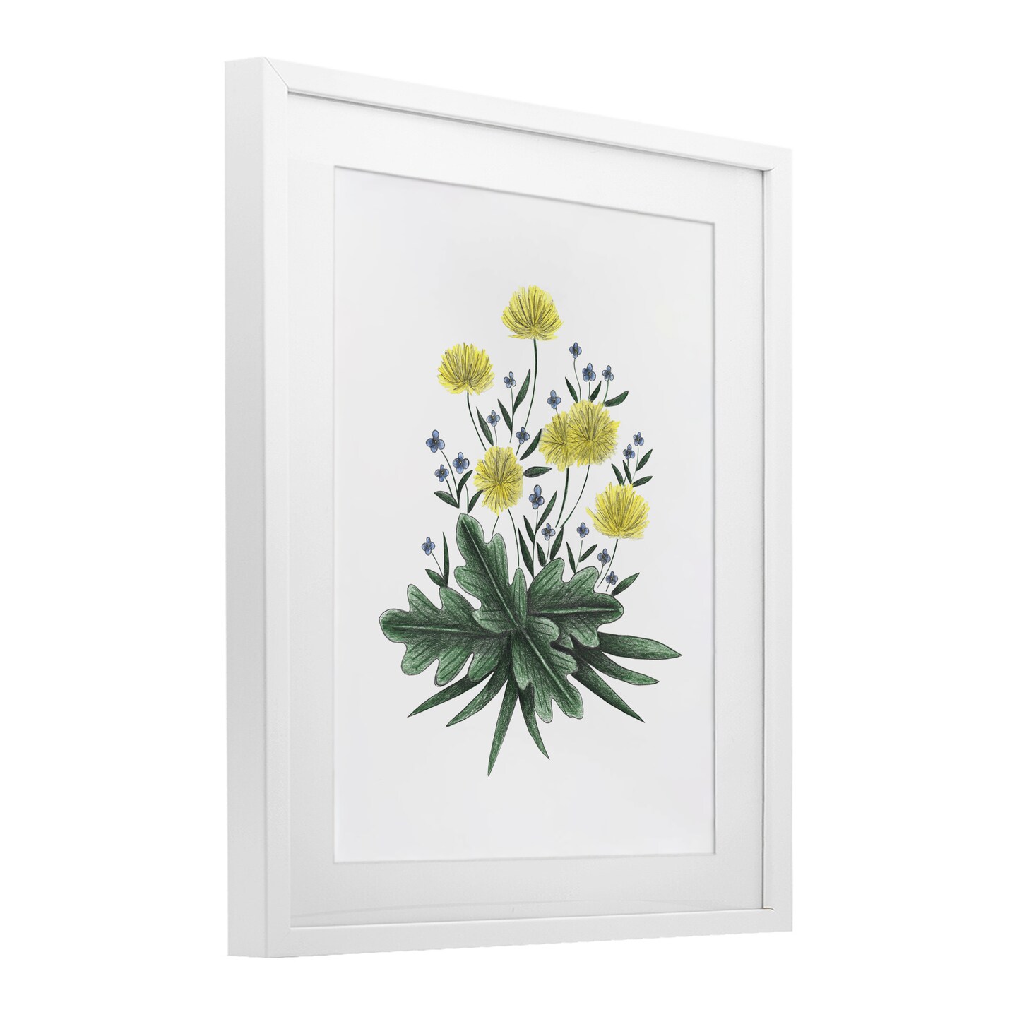 Stupell Industries Dandelion Flower Illustration Framed Print Under Glass, design by Cecilia Battaini