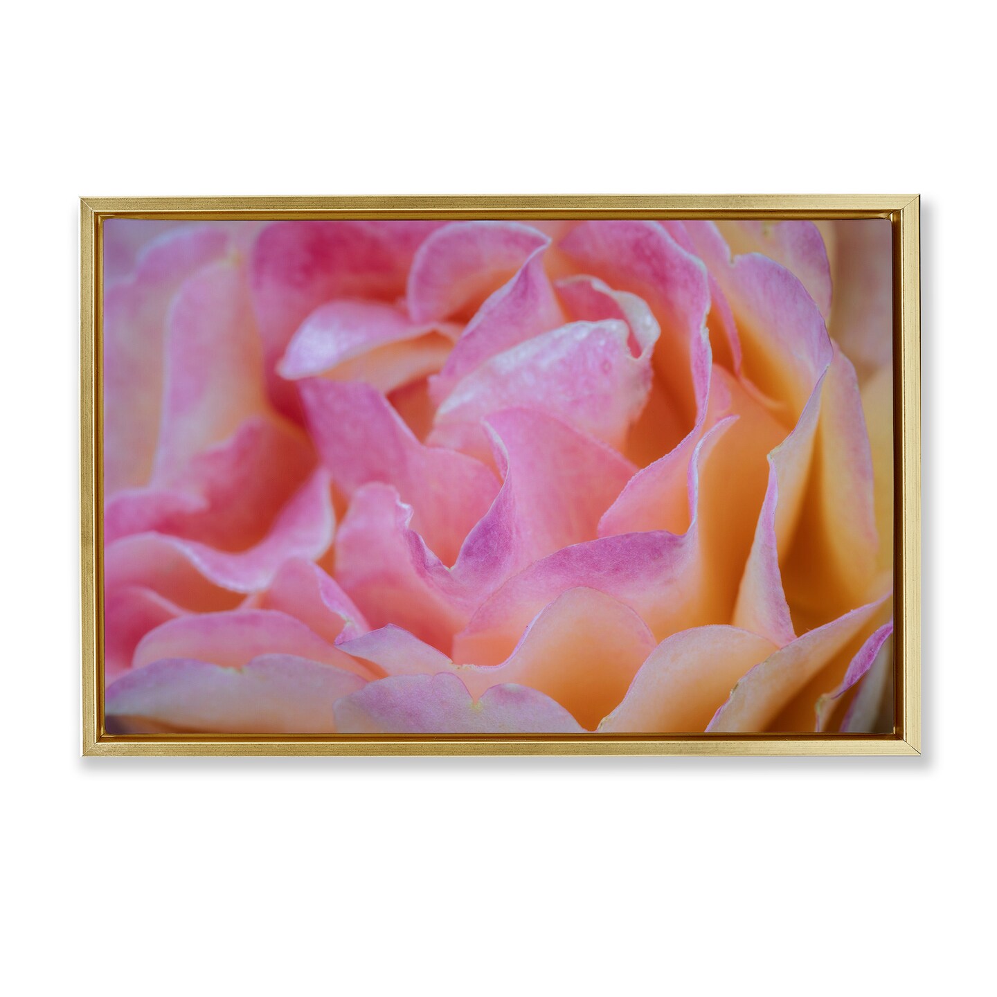 Stupell Industries Pink Floral Petals Palette Floating Frame, design by James Rodewald