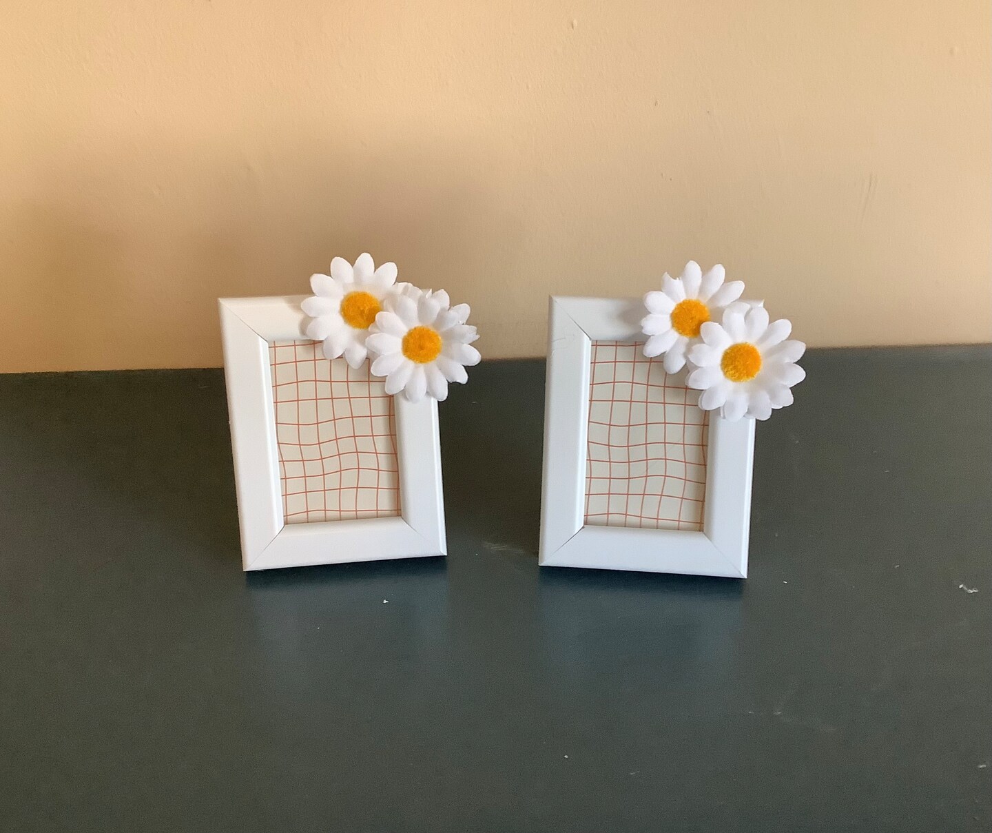 Set of 2…2x3 daisy frames | MakerPlace by Michaels