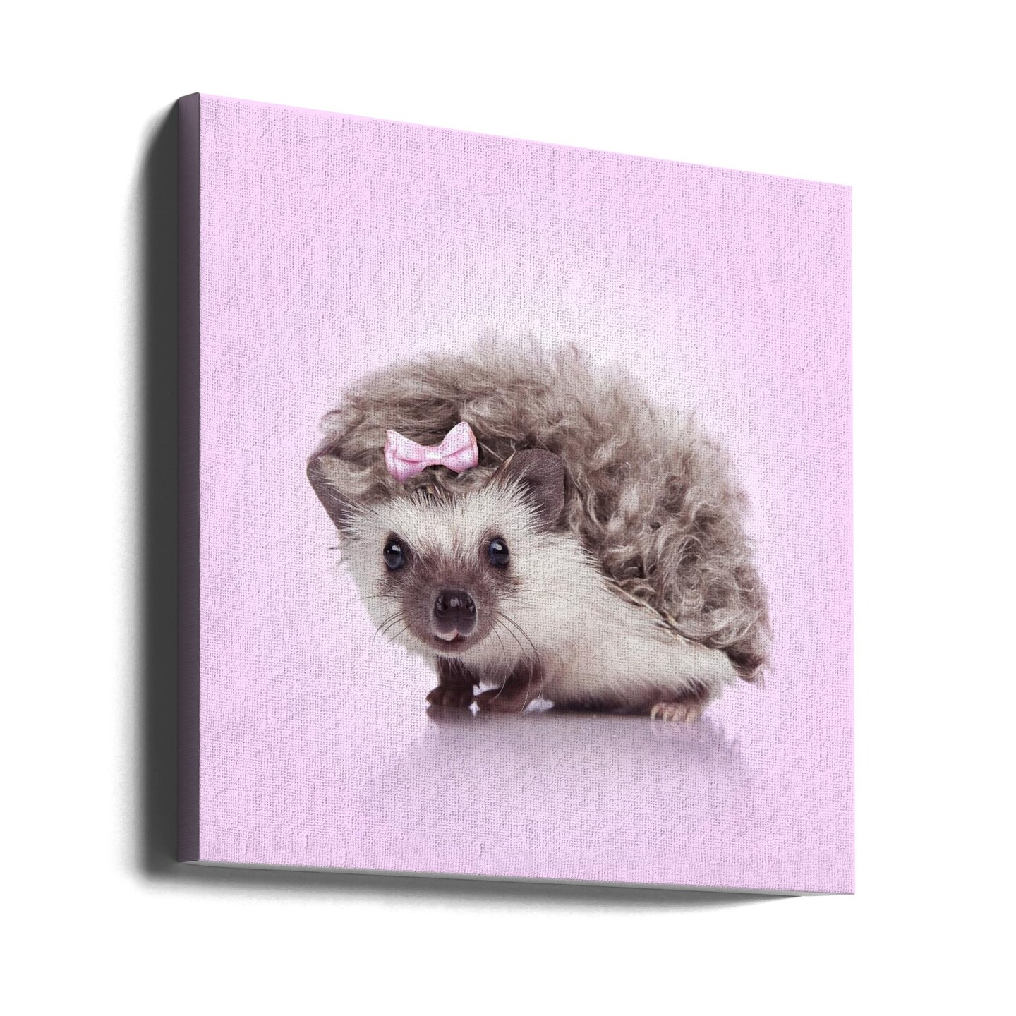 Curvy Hedgehog Square Canvas Art | Modern Home Wall Decor 24x24 Canvas - Corporate Office Art