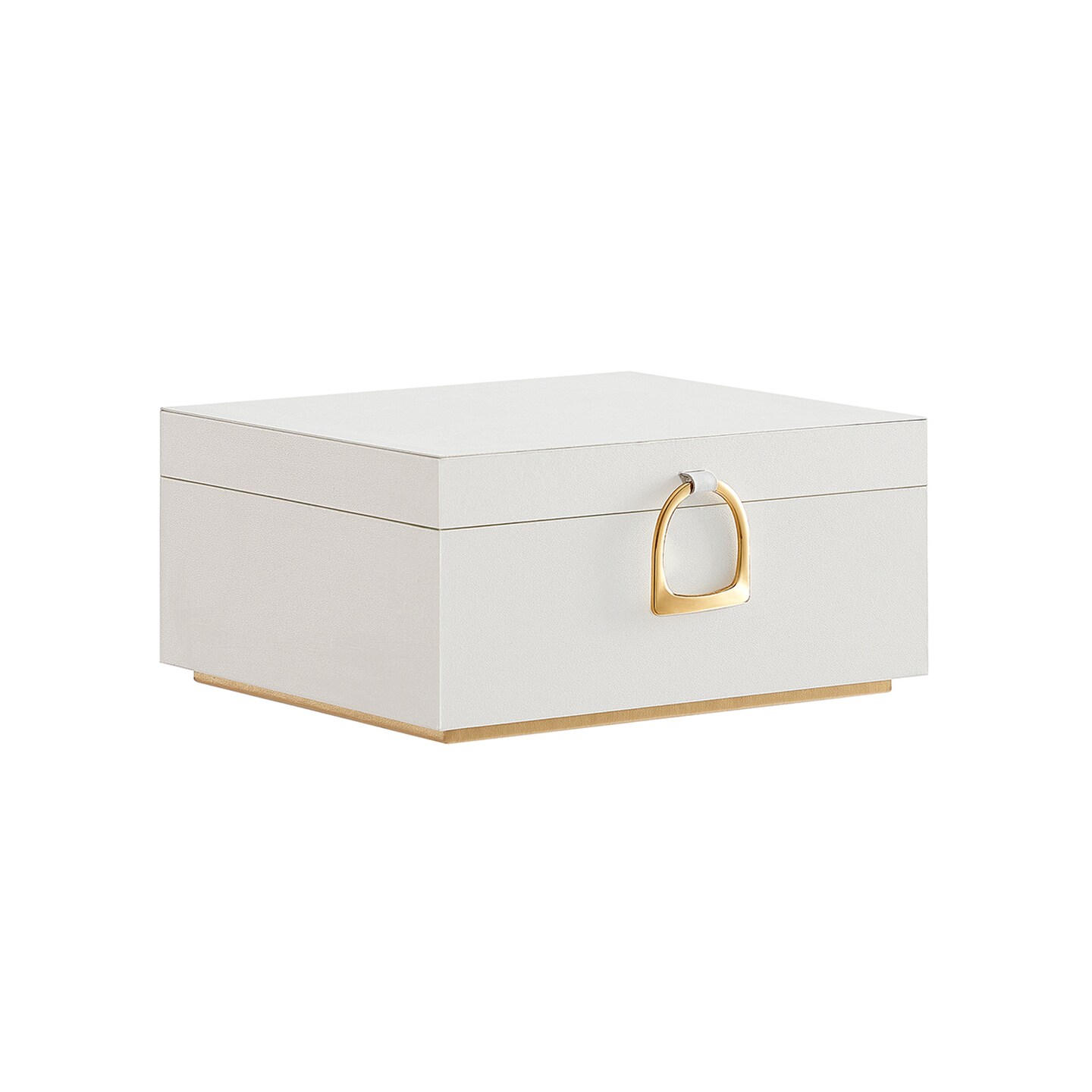 Jewelry Storage Box with Lid Hooks Tray Organizer Necklace Ring Earring Case