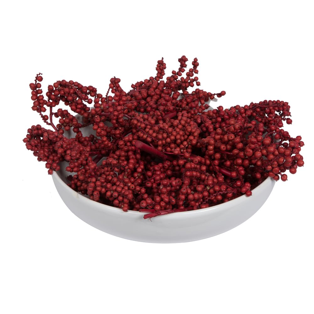 Vickerman Natural Botanicals 6" Canella Special Red Coated. Includes 25 pieces per unit.