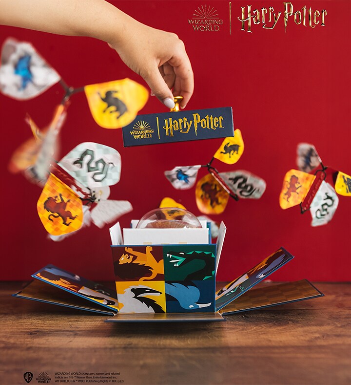 Harry Potter Hogwarts Explosion Box - Cake Treat Included