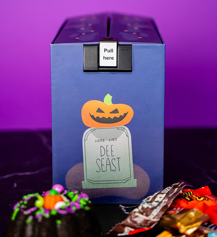 Haunted House Bat Surprise - Cake Treat Included