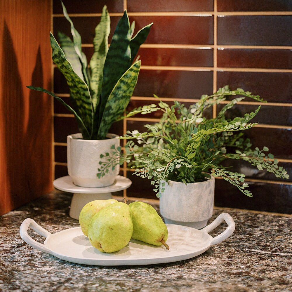 16&#x22; Faux Snake Plant &#x26; Fern Set