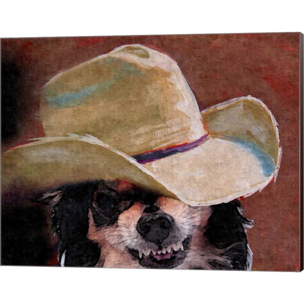 What Chawawa Lookin At by Murray Henderson Fine Art 20&#x22; x 16&#x22; Canvas Wall Art