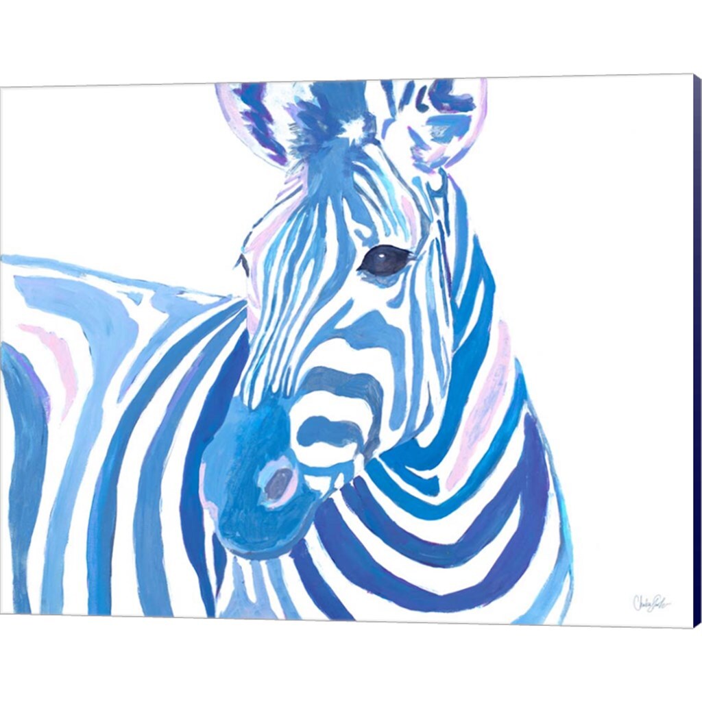 Vibrant Zebra by Chelsea Goodrich 20&#x22; x 16&#x22; Canvas Wall Art