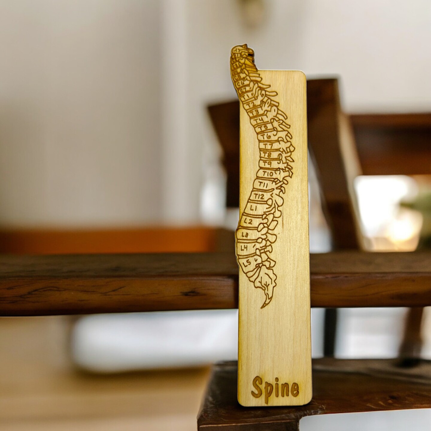 Bookmark - Spine Anatomy - Birch wood