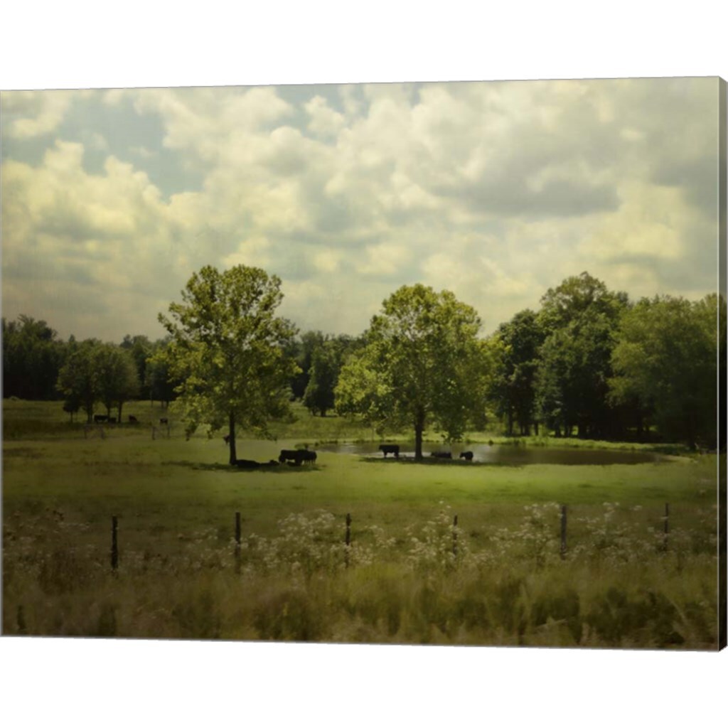 Cattle Pond In Summer by Jai Johnson 20&#x22; x 16&#x22; Canvas Wall Art
