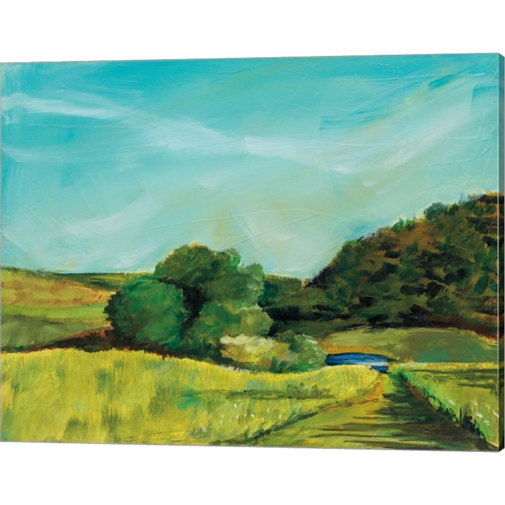 View from Rock Hill by Sue Schlabach 20&#x22; x 16&#x22; Canvas Wall Art