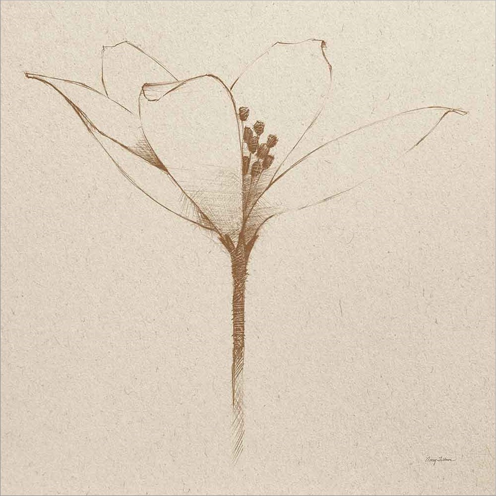 Modern Vintage Floral VI by Avery Tillmon 12" x 12" Canvas Wall Art