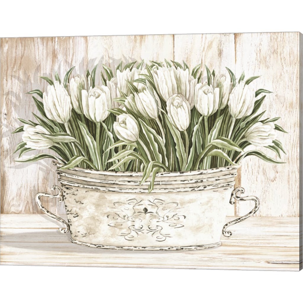 Tulips in White Chipped Pail by Cindy Jacobs 20&#x22; x 16&#x22; Canvas Wall Art