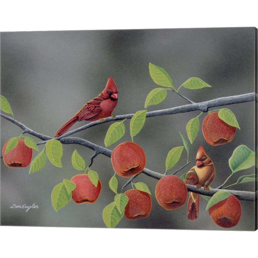 Symphony in Red by Don Engler 20&#x22; x 16&#x22; Canvas Wall Art