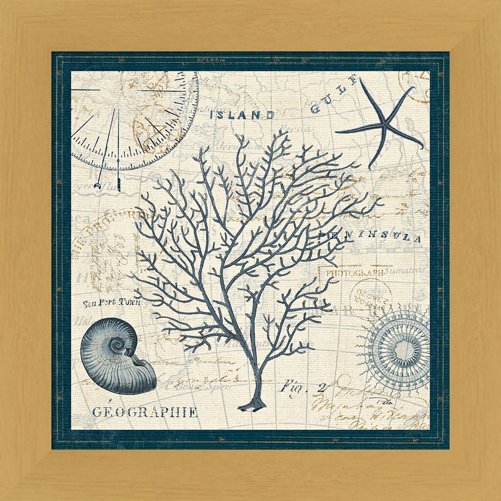 Ocean Life IV by Pela 13&#x22; x 13&#x22; Framed Wall Art