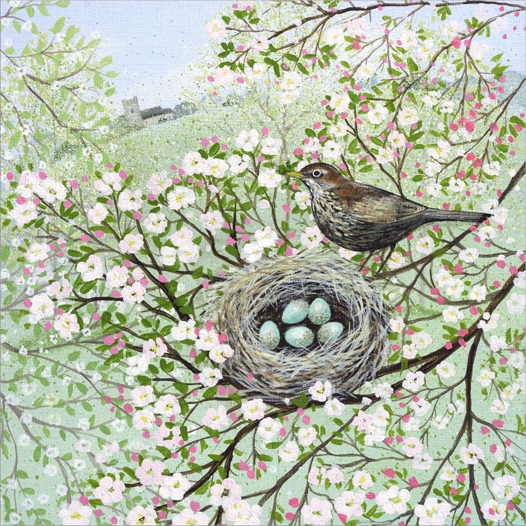 Blossom and Blackbird by Lucy Grossmith 12&#x22; x 12&#x22; Canvas Wall Art