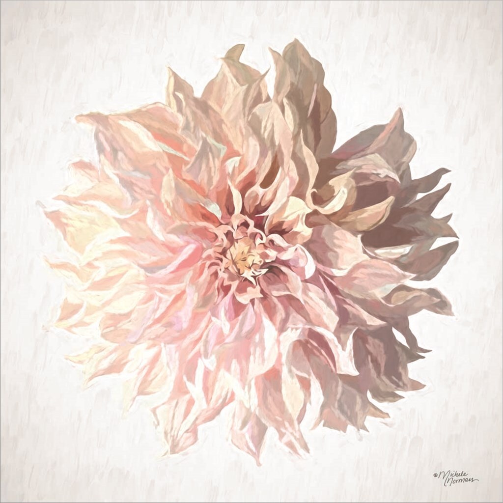 Sweet Dahlia by Michele Norman 12&#x22; x 12&#x22; Canvas Wall Art