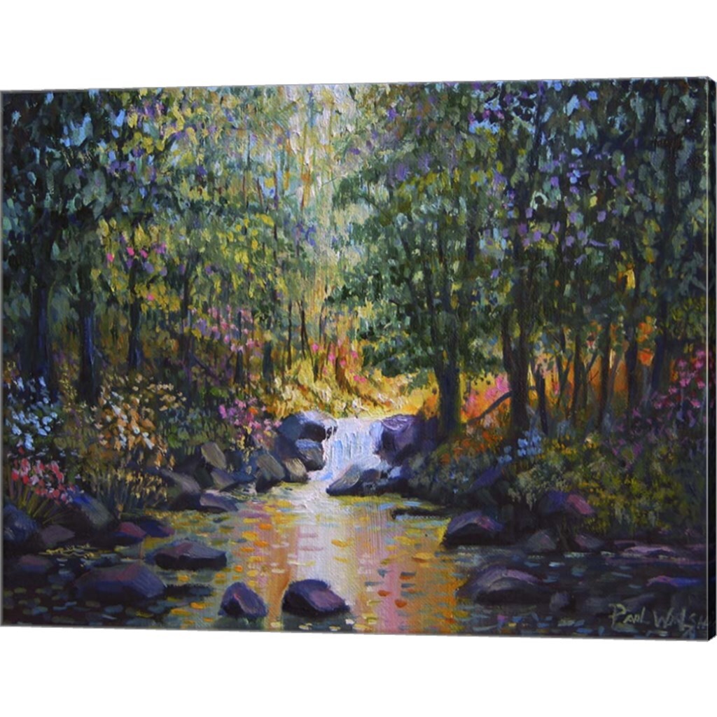 Wooded Stream by Paul Walsh 20&#x22; x 16&#x22; Canvas Wall Art