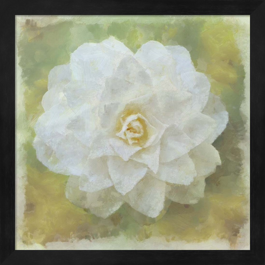 Camelia White by Cora Niele 13&#x22; x 13&#x22; Framed Wall Art