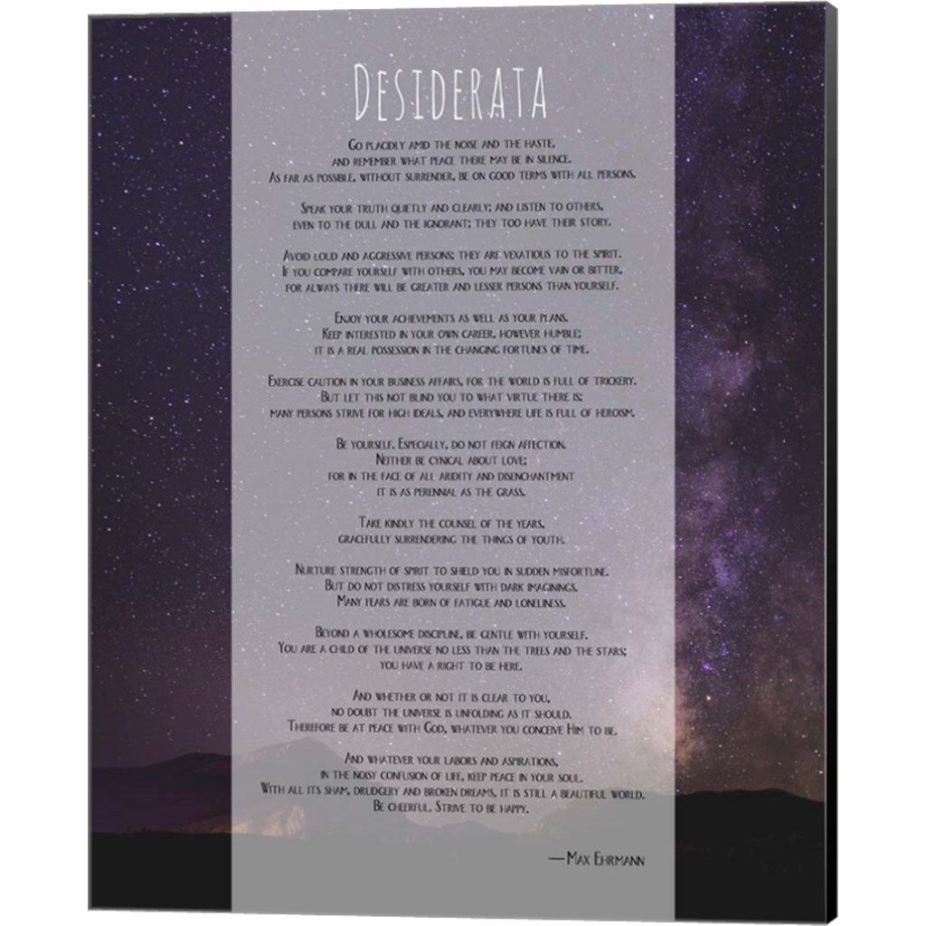 Desiderata Night Sky by Quote Master 16" x 20" Canvas Wall Art