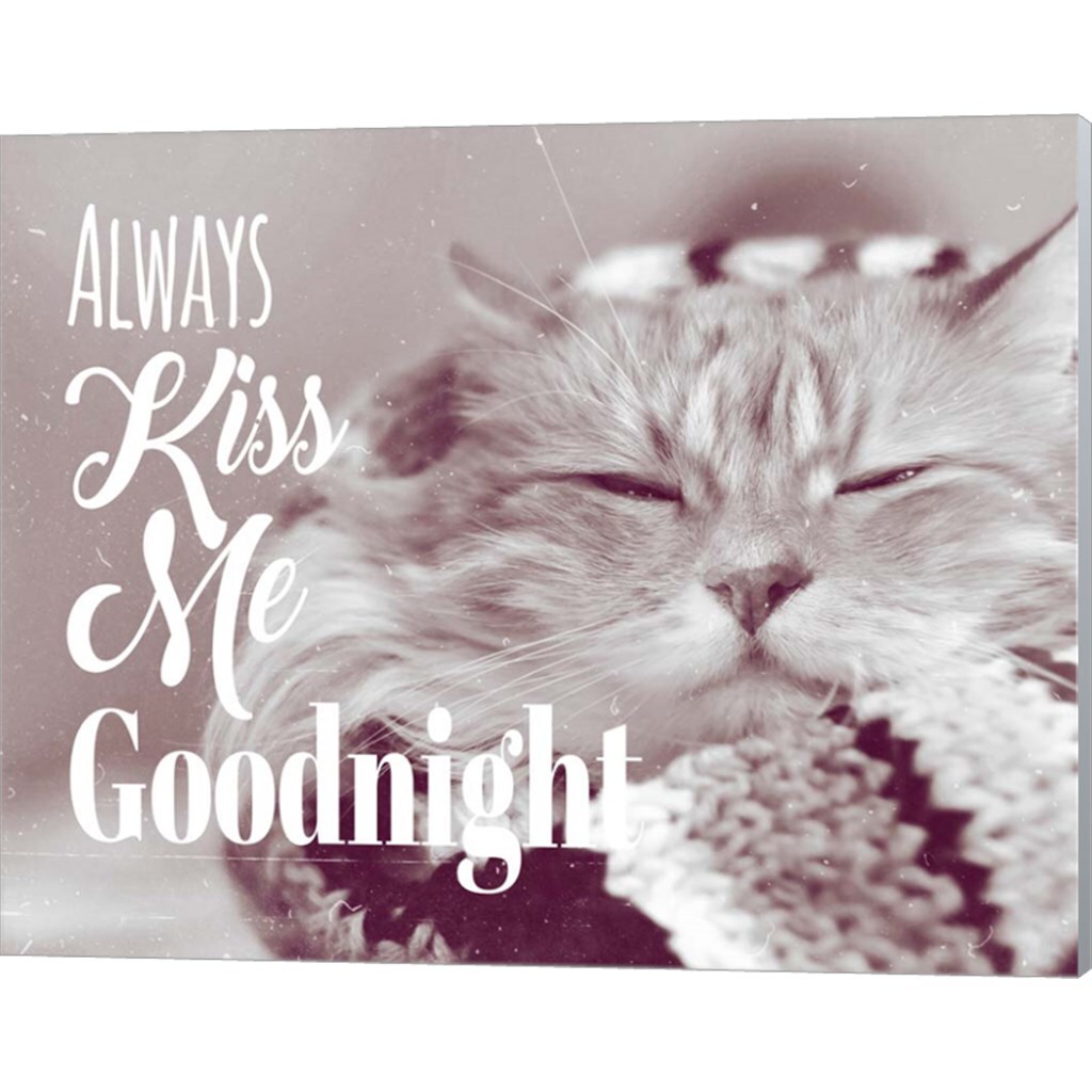 Always Kiss Me Goodnight Sleepy Cat by Quote Master 20&#x22; x 16&#x22; Canvas Wall Art